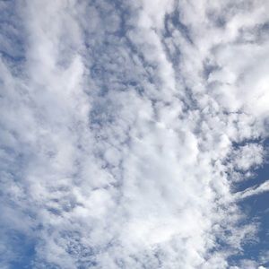 Meet your Posher, Jayden